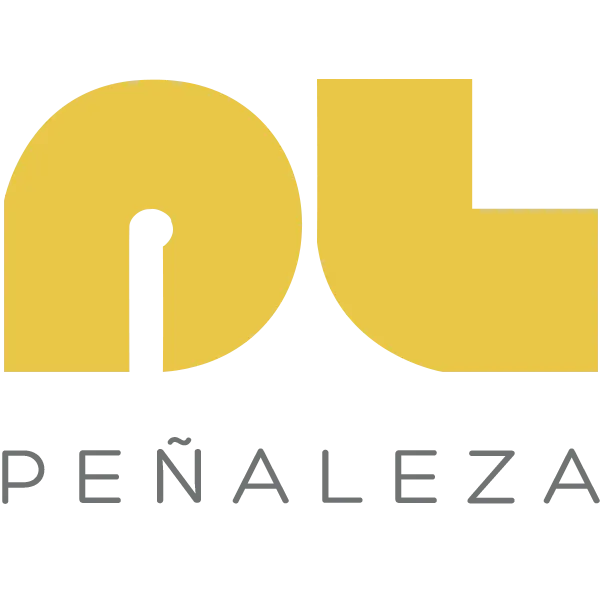 Peñaleza Ingeniería de Procesos