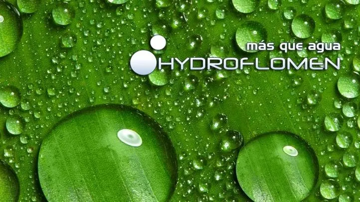 Hydroflomen - Taller de reparación de motores eléctricos en Madrid - foto 2