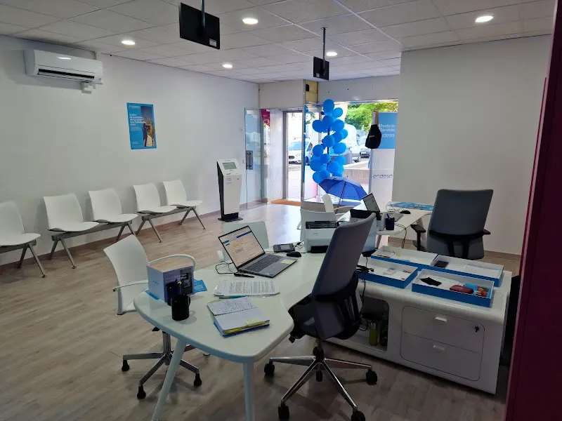 SERVINFORM Vallecas - Punto de Servicio Endesa